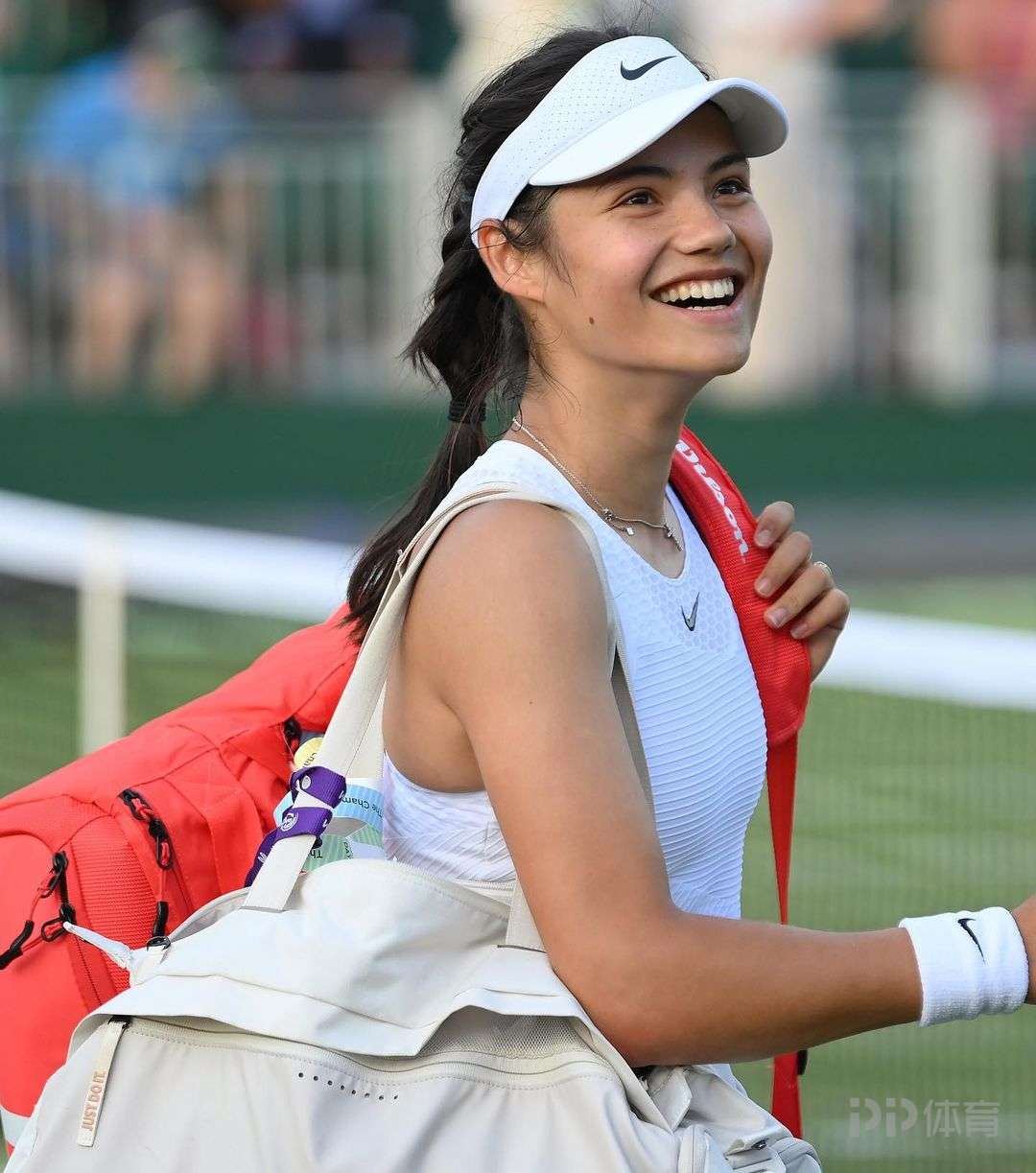 冠中有所突 冠中有所突